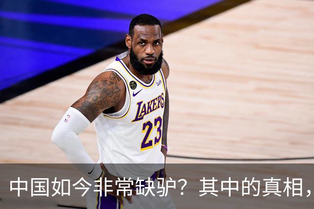 中国如今非常缺驴？其中的真相，比你想象的还要荒诞得多