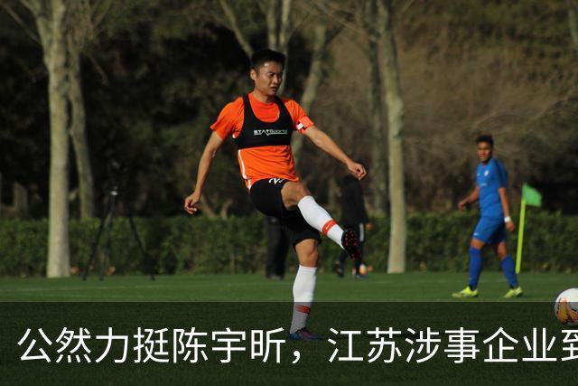 公然力挺陈宇昕，江苏涉事企业到底图个啥