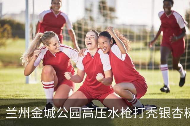 兰州金城公园高压水枪打秃银杏树，环卫公司负责人致歉：深刻检讨，两名涉事员工已停职