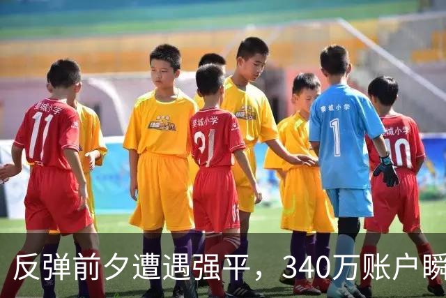 反弹前夕遭遇强平，340万账户瞬间清零，杠杆的代价有多沉重