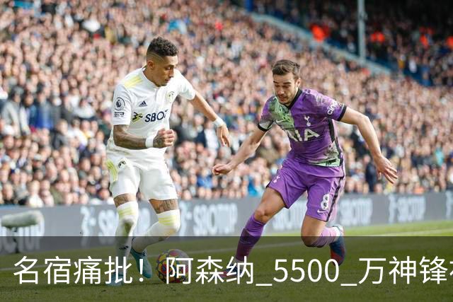 名宿痛批！阿森纳 5500 万神锋被彻底用废！阿尔特塔离谱毁人