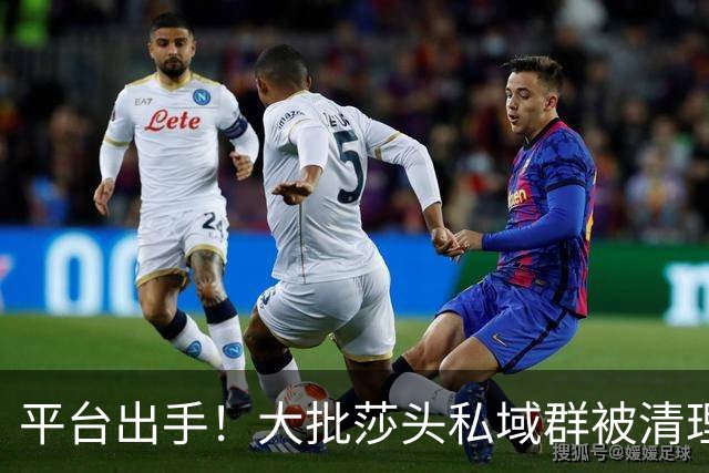 平台出手！大批莎头私域群被清理，饭圈乱象整治，全网纷纷叫好