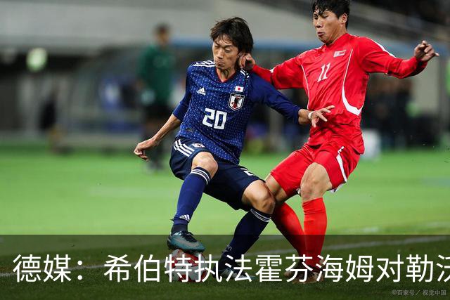 德媒：希伯特执法霍芬海姆对勒沃库森伤退，哈特曼接任