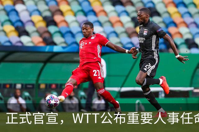 正式官宣，WTT公布重要人事任命，中国乒乓美女被提拔，正式上岗担任总监职务