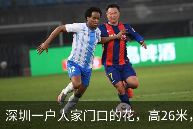 深圳一户人家门口的花，高26米，直接爬上9层楼，太壮观了