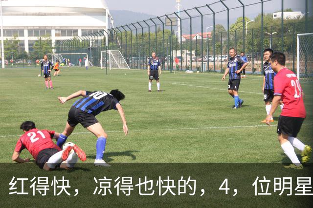 红得快，凉得也快的，4，位明星，以前是男神女神，如今断崖式凉透