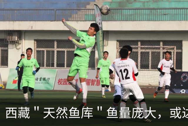 西藏＂天然鱼库＂鱼量庞大，或达2亿公斤？为何人们不进行打捞？