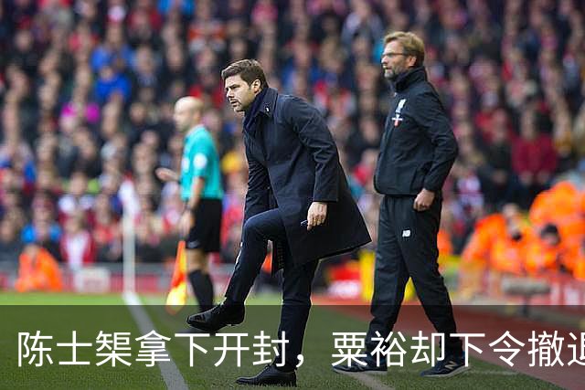 陈士榘拿下开封，粟裕却下令撤退，众人不解，毛主席：粟裕高明啊