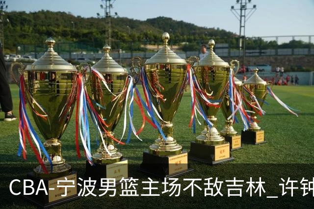 CBA-宁波男篮主场不敌吉林 许钟豪场边指挥