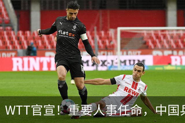 WTT官宣！重要人事任命，中国乒乓美女被提拔，上任总监岗位